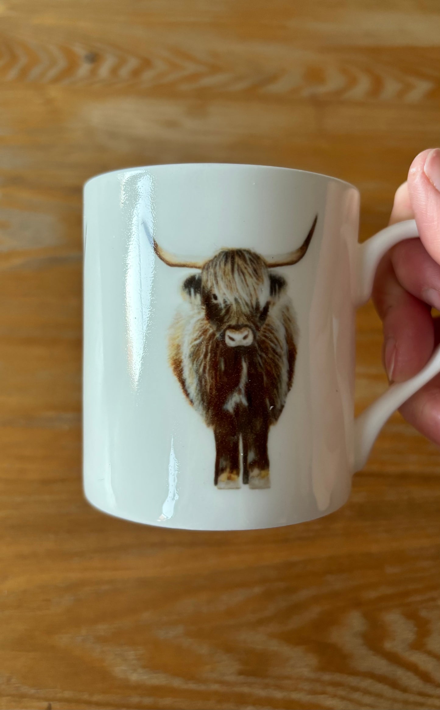 Highland Cow Bone China Mug