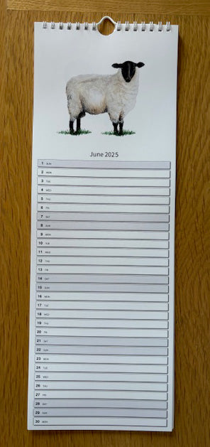 2025 Calendar