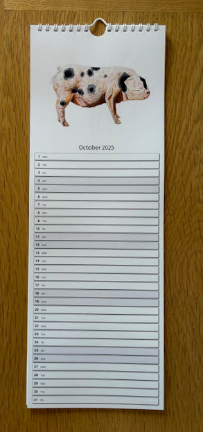 2025 Calendar