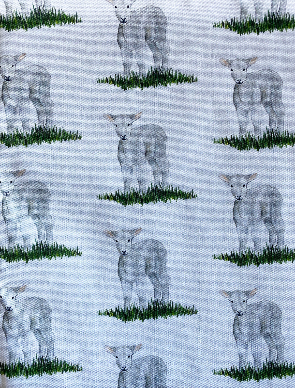 Lamb Apron