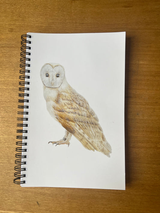 Owl Softback A5 Notebook